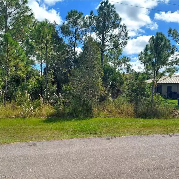 3206 Nora AVE N, Lehigh Acres, FL 33971