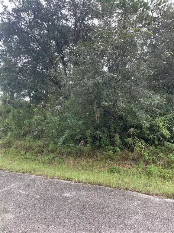 Lehigh Acres, FL 33972,1918 Roosevelt AVE