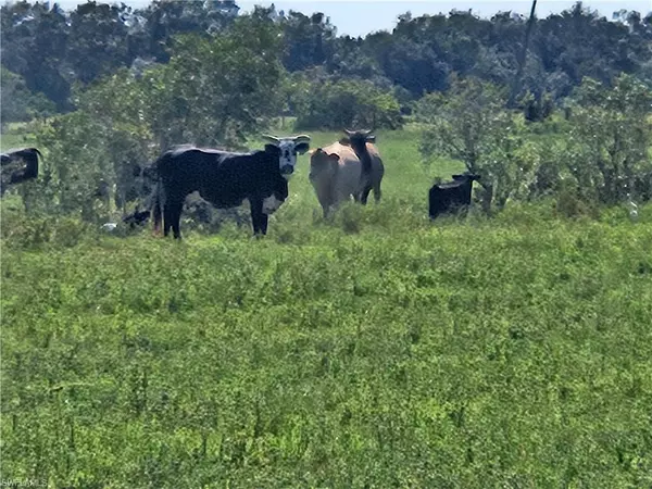 Arcadia, FL 34266,SE CO RD 763 SE Co Rd 763 RD SE