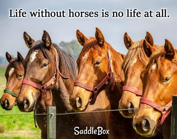 North Fort Myers, FL 33917,10910 Ruden RD