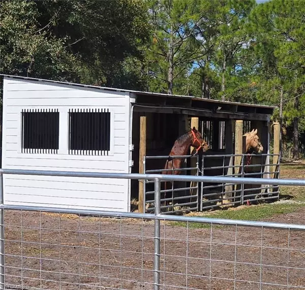 Naples, FL 34120,4459 47th AVE NE