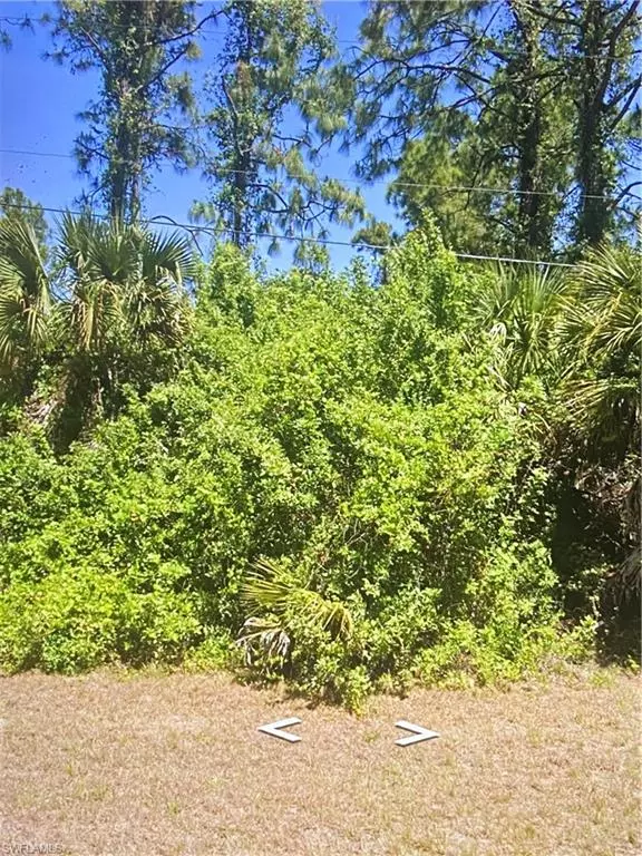 Lehigh Acres, FL 33974,931 Sentinela BLVD