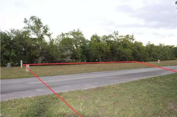 Everglades City, FL 34139,336 Freesia ST