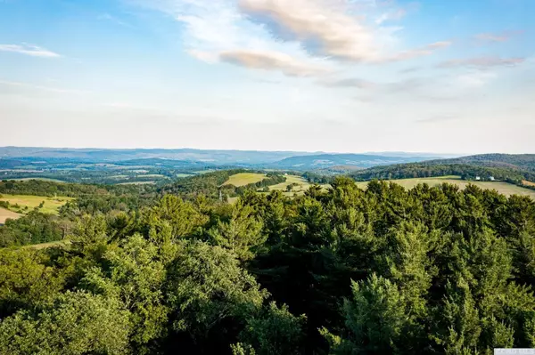 Millerton, NY 12546,5 Homestead Farm LN