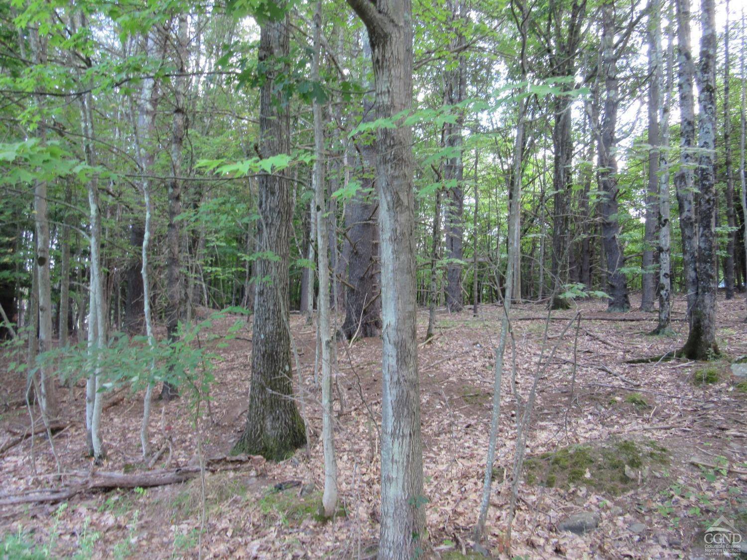 East Durham, NY 12423,0 Lakeview RD
