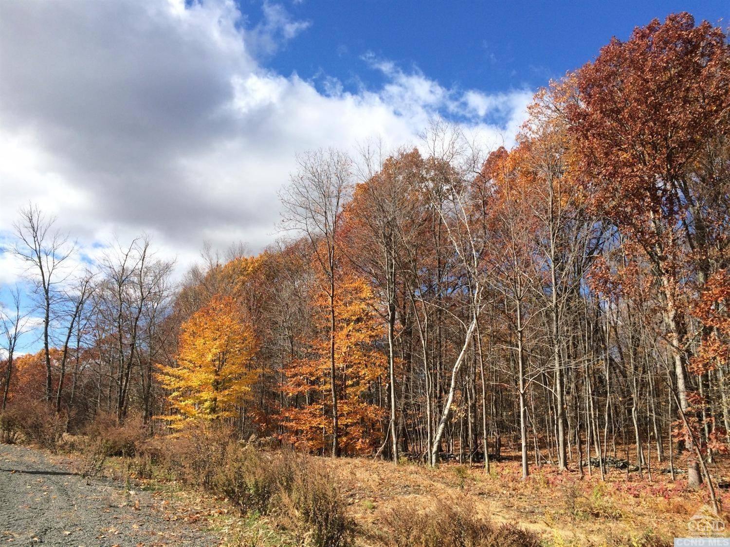 Copake, NY 12521,9 Stonegate off Birch Hill RD