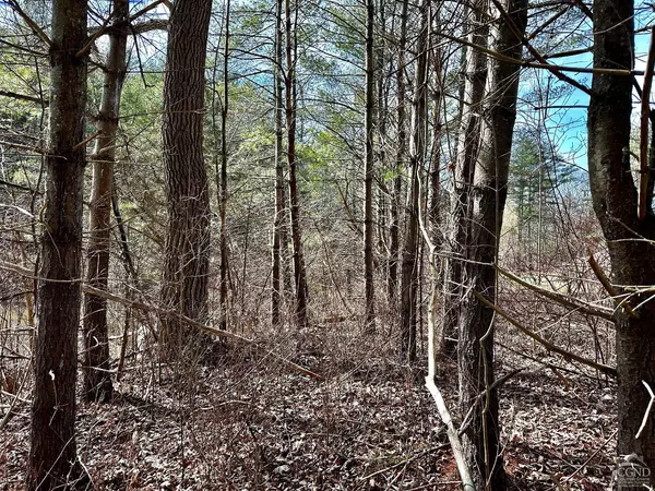 Cairo, NY 12413,475 Route 145