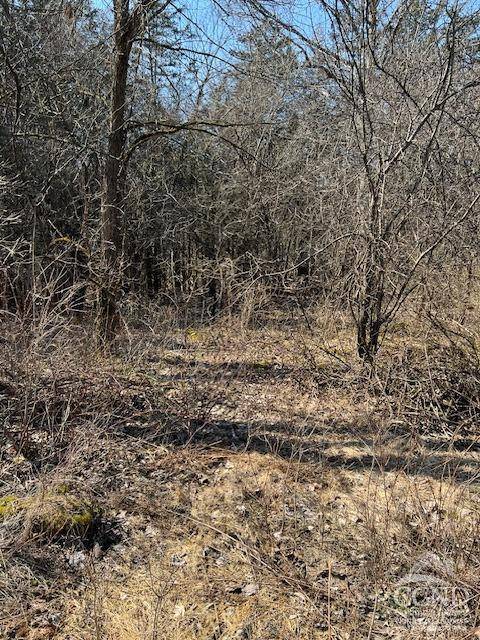 Athens, NY 12015,12 Sunset CT