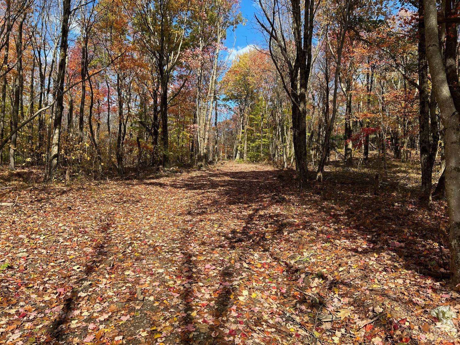 Austerlitz, NY 12017,2 West Hill RD