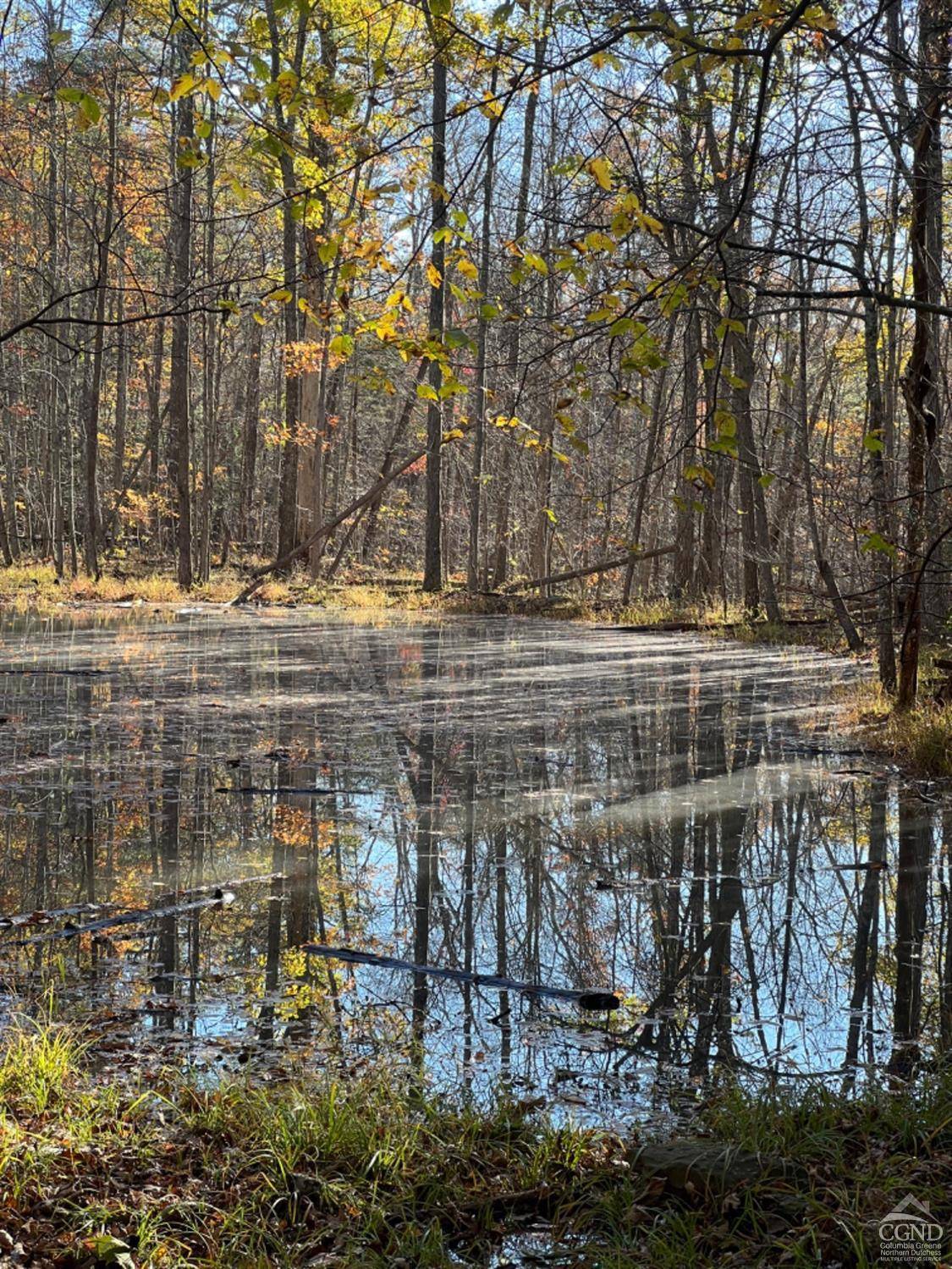 Athens, NY 12451,716 - B Sandy Plains RD