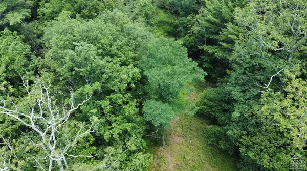 Cairo, NY 12413,0 Vernal Butler Rd