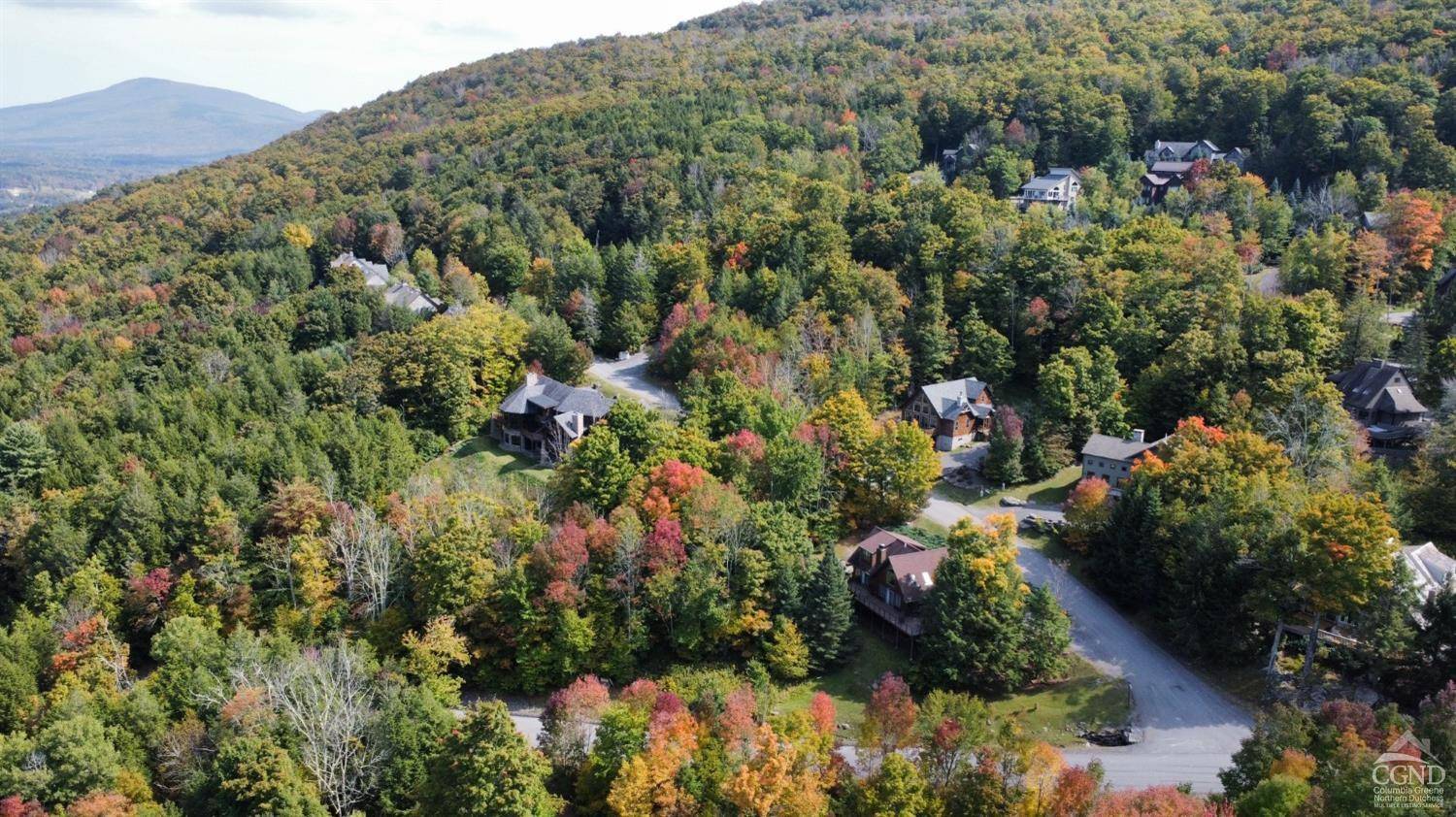 Windham, NY 12496,2 Twin Maples LN