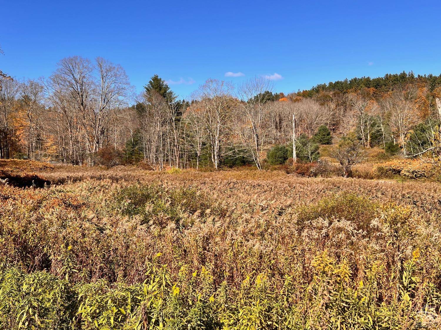 Hillsdale, NY 12529,61 Dugway RD