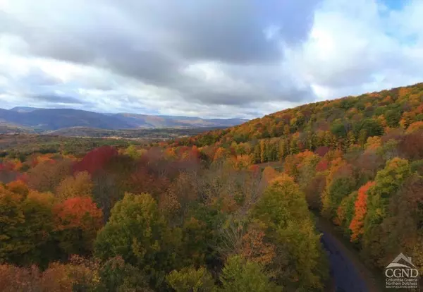 Jewett, NY 12444,384 Bailey RD