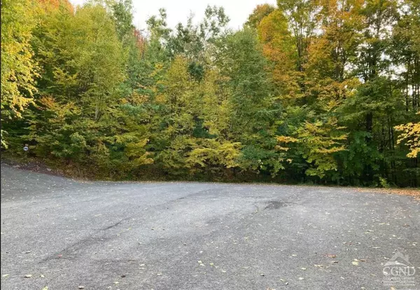 Jewett, NY 12444,384 Bailey RD