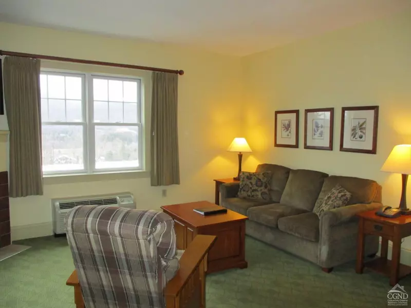 62 - 238E4 Liftside DR, Hunter, NY 12442