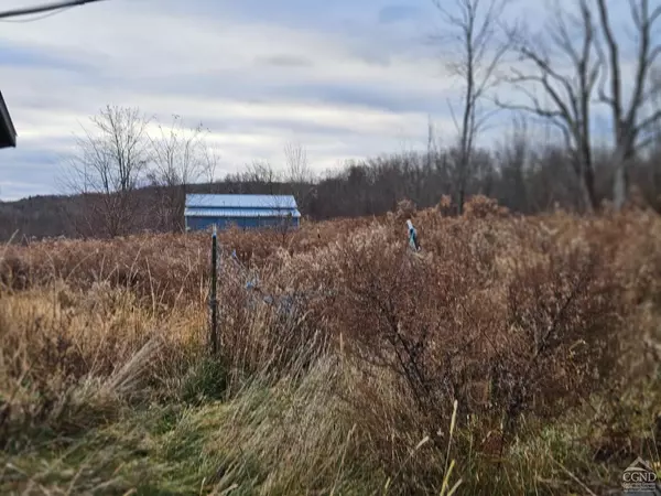 Amsterdam, NY,295 Shellstone Rd