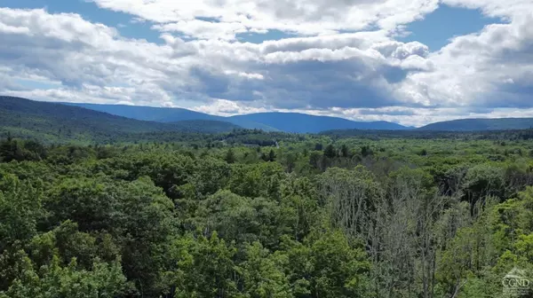 Hunter, NY 12442,0 North Lake RD