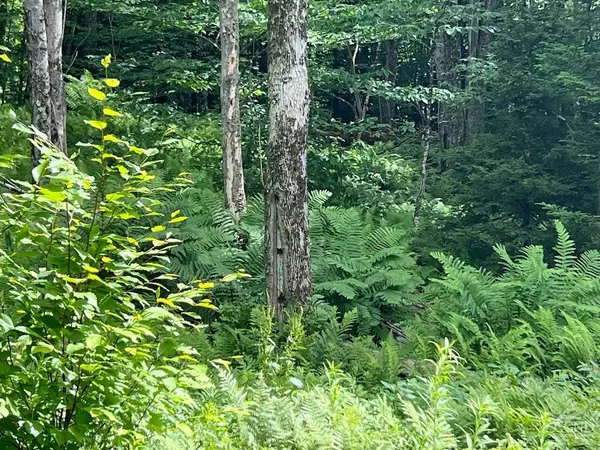 Hunter, NY 12442,0 North Lake RD