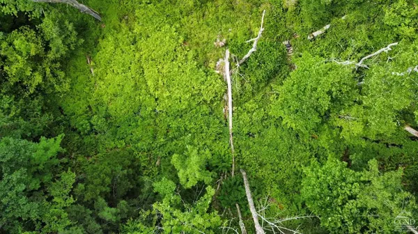 Hunter, NY 12442,0 North Lake RD