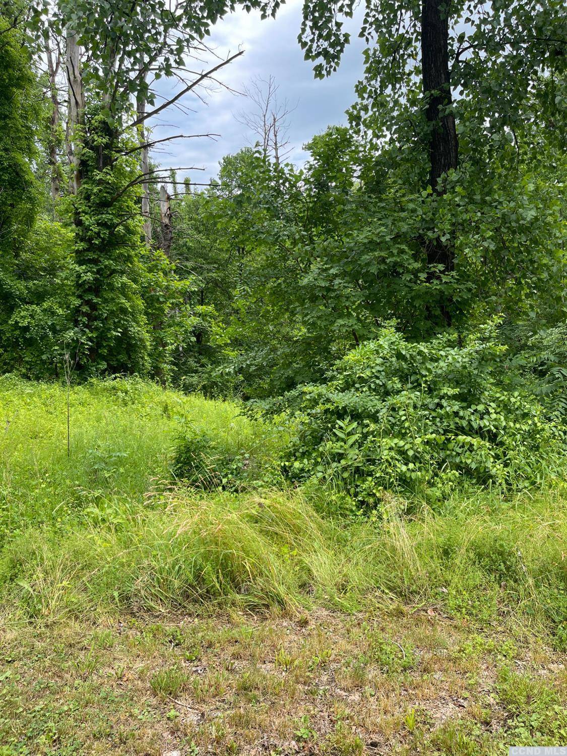 Coxsackie, NY 12051,37 Schoolmaster CT