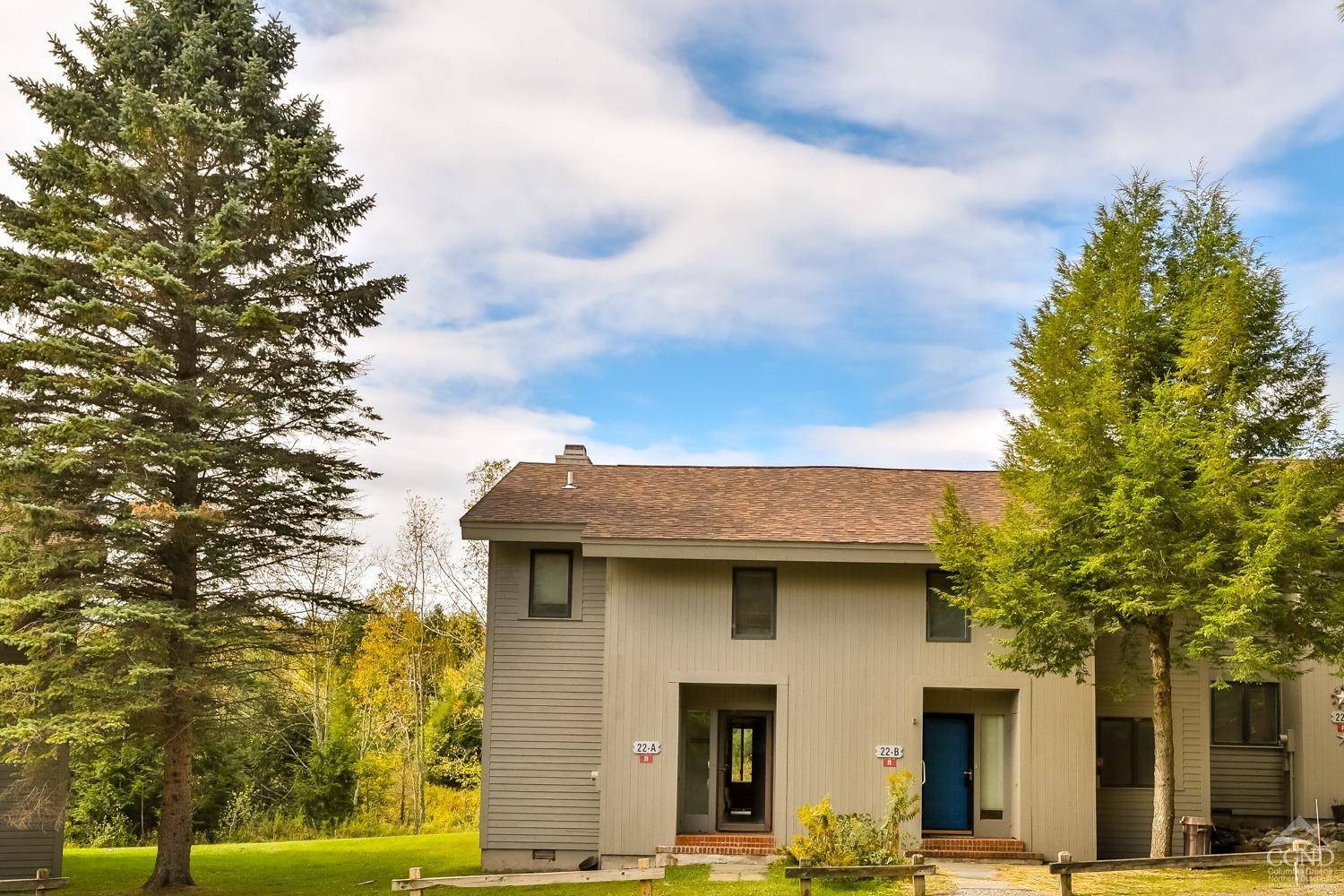 28 Loo Bridge LN #22A, Windham, NY 12496