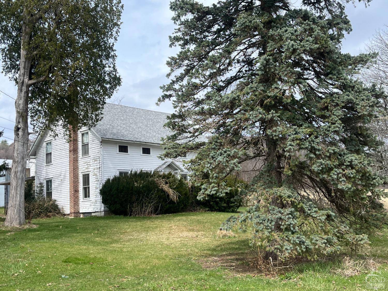 Selkirk, NY 12159,22 DeCocco