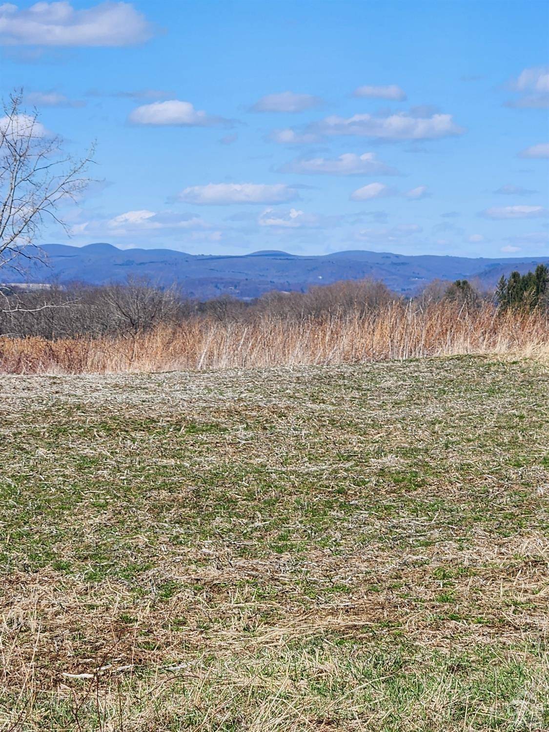 Amenia, NY 12501,28 Yellow City RD