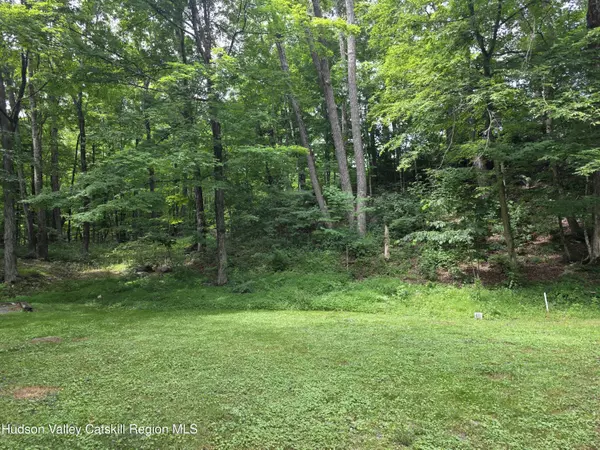 Cairo, NY 12413,597 Ross Ruland RD