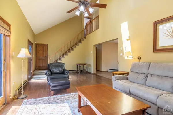 Hunter, NY 12442,213 Botti Drive