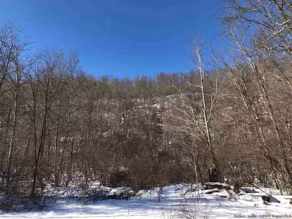 Phoenicia, NY 12464,Lot 8 Emerson TER