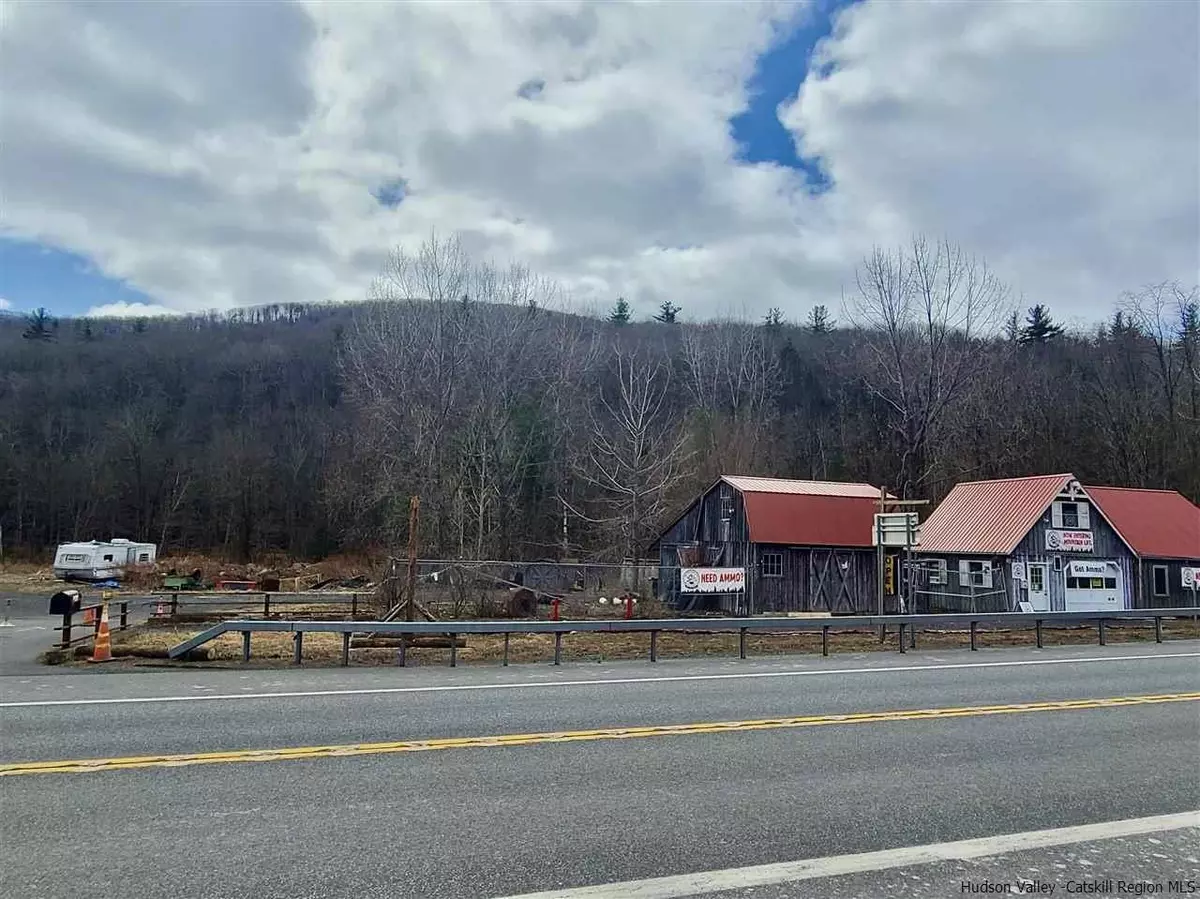 Shandaken, NY 12480,7415 State Highway 28