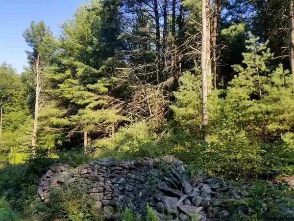 Napanoch, NY 12428,TBD Irish CPE