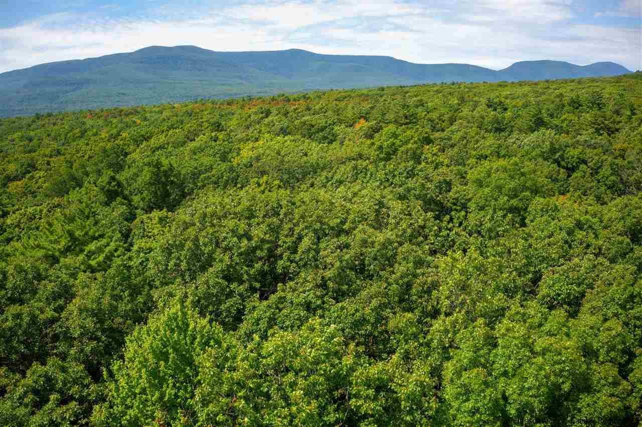 Catskill, NY 12414,264 Foster RD