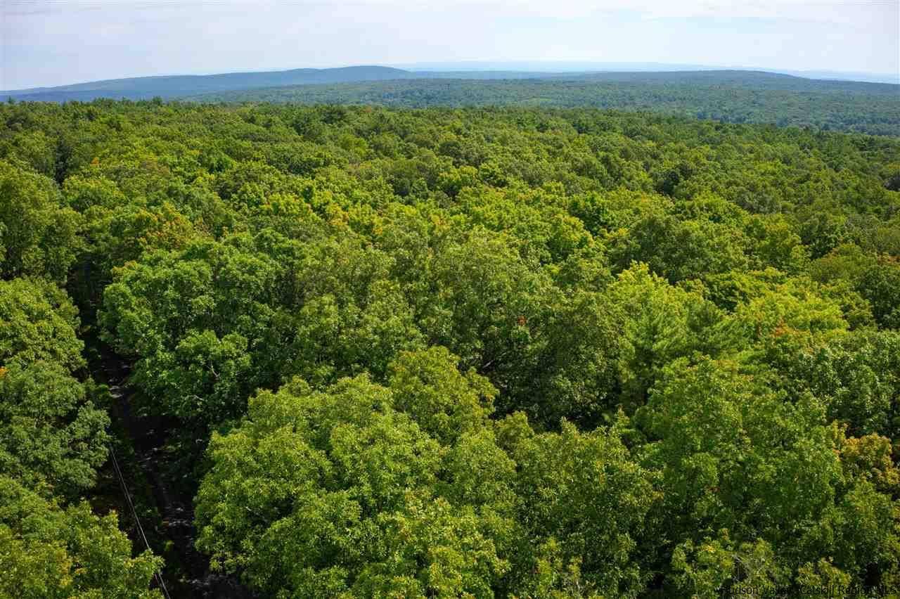Catskill, NY 12414,264 Foster RD