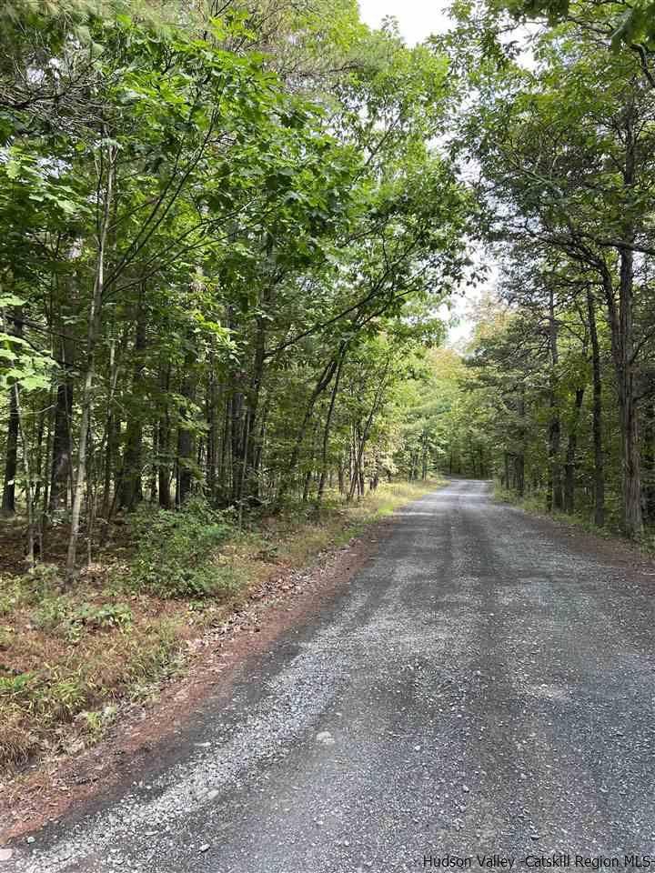 Catskill, NY 12414,264 Foster RD