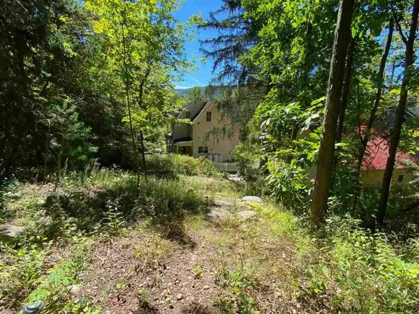 Shandaken, NY 12480,4 Evergreen DR