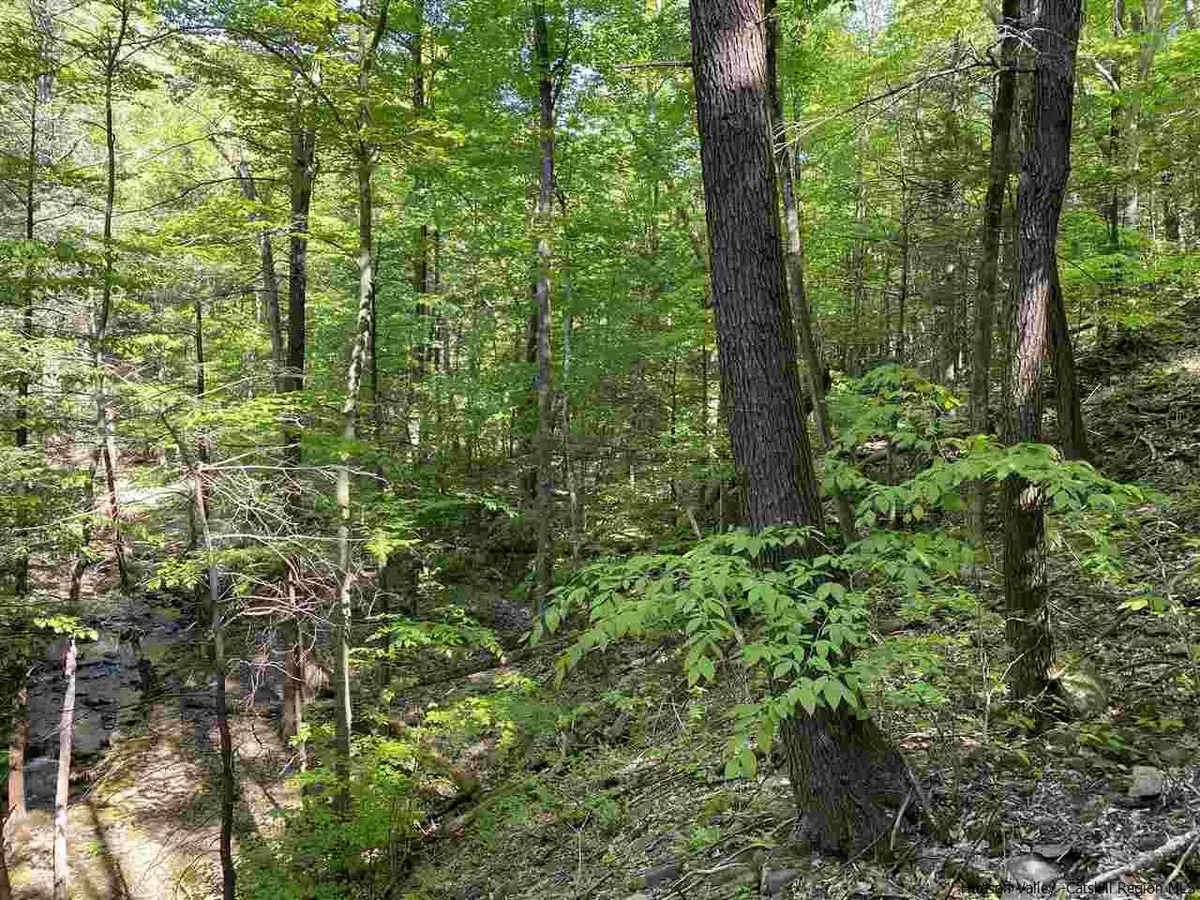 West Shokan, NY 12494,92 Hillside DR