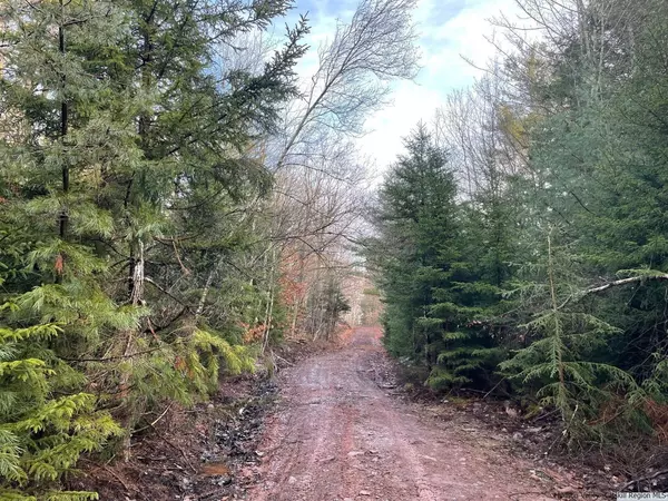 East Jewett, NY 12424,86 Hunter Mountain TRL