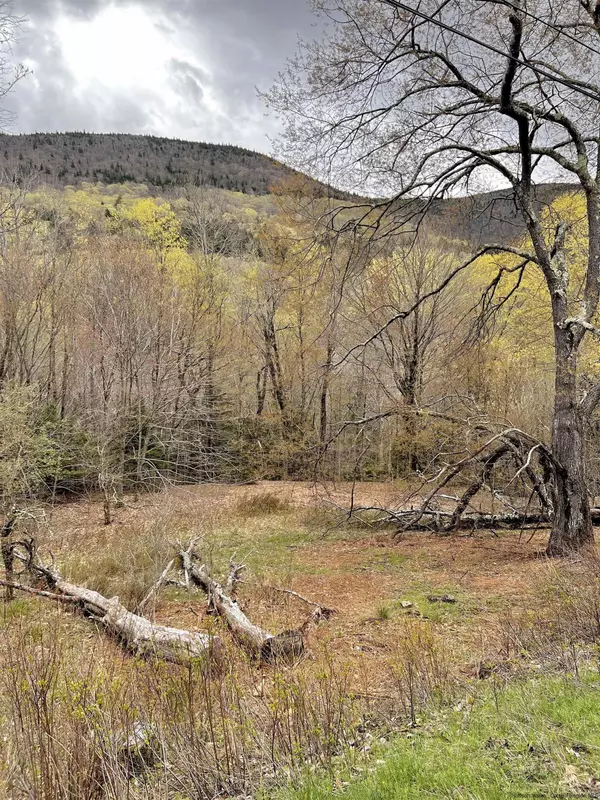 Hunter, NY 12427,TBD Mink Hollow RD