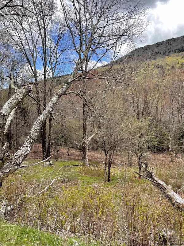 Hunter, NY 12427,TBD Mink Hollow RD