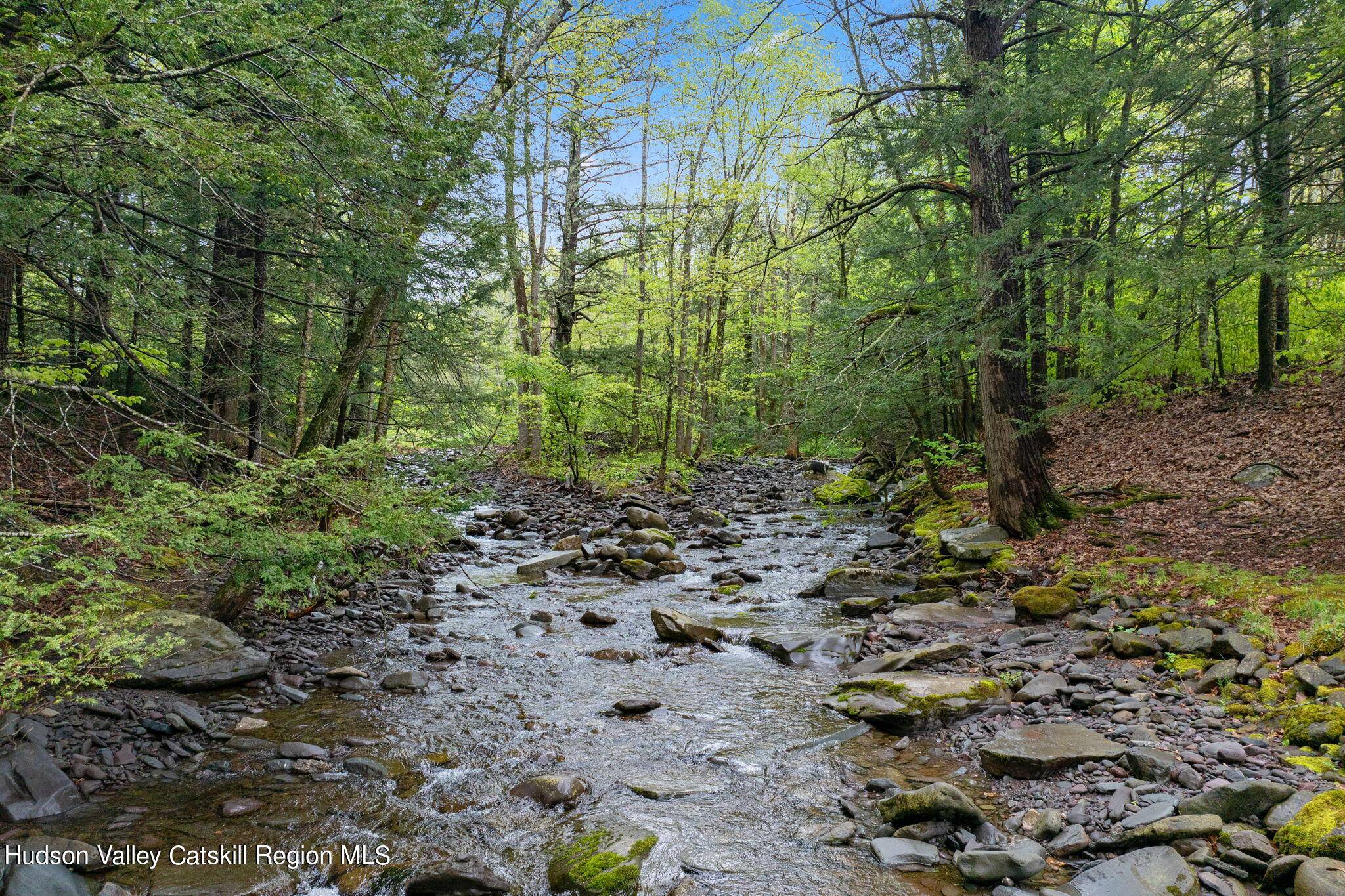 Haines Falls, NY 12436,93 N Lake RD