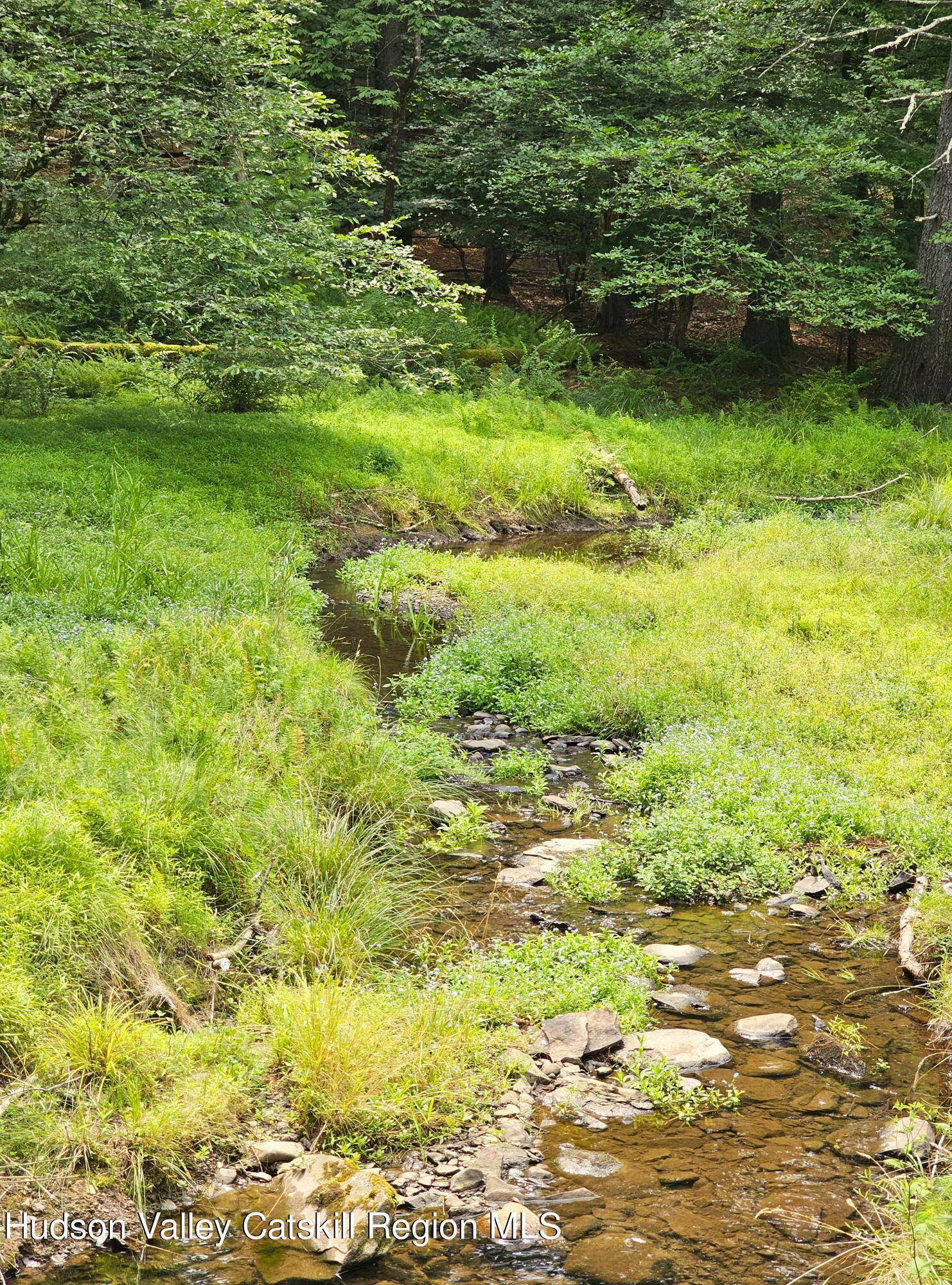 Woodstock, NY 12498,272 Yerry Hill RD #Studio