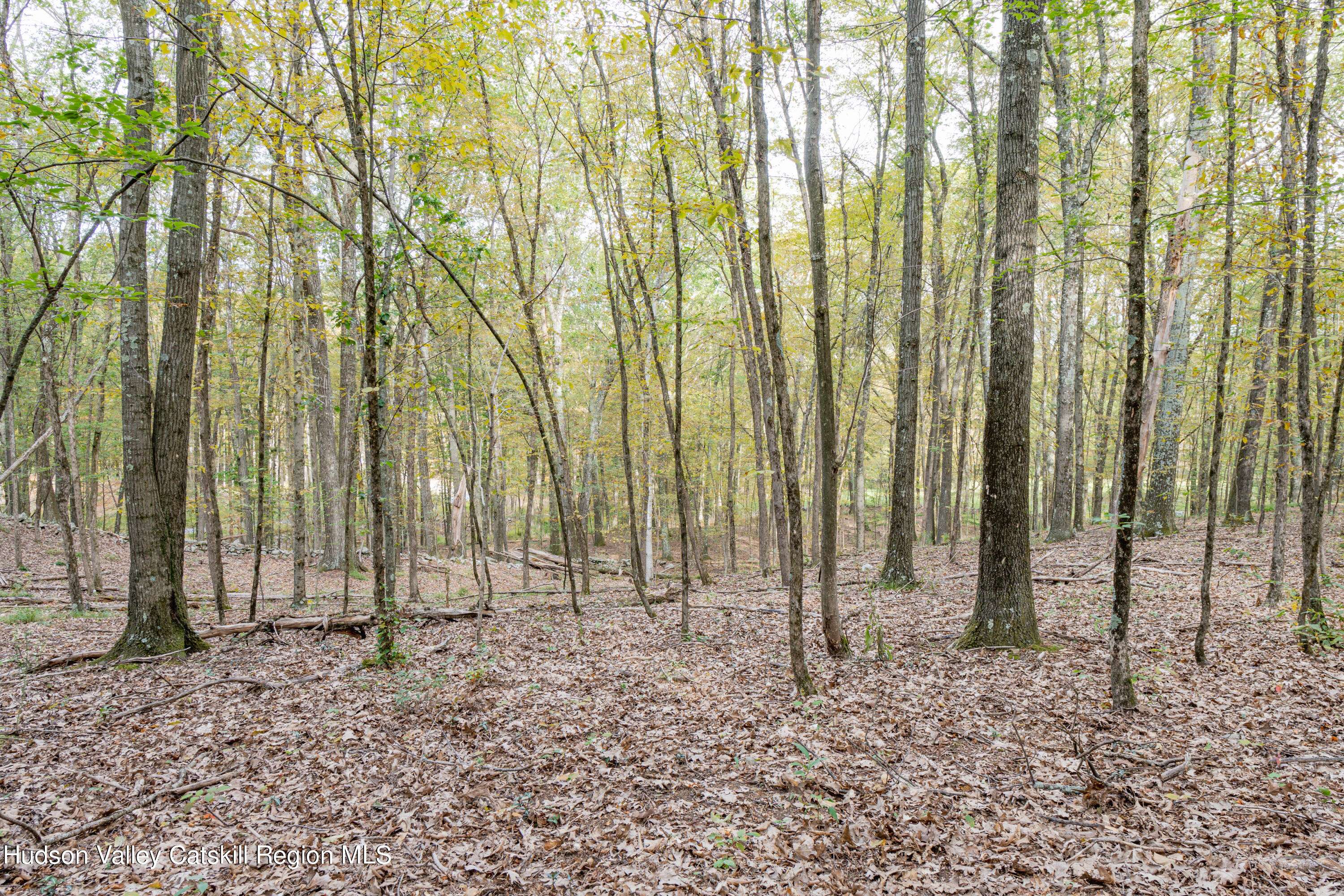 Highland, NY 12528,380 N Elting Corners RD