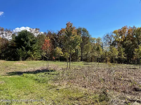 Stone Ridge, NY 12484,Lot 1 Crestview Ridge Road