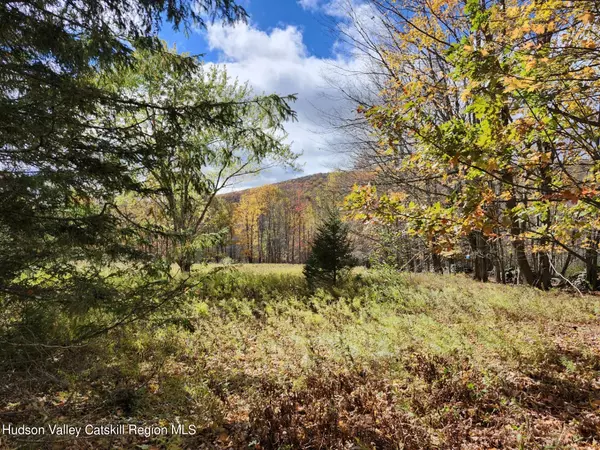 Fleischmanns, NY 12430,Tbd Dimmick Mountain RD