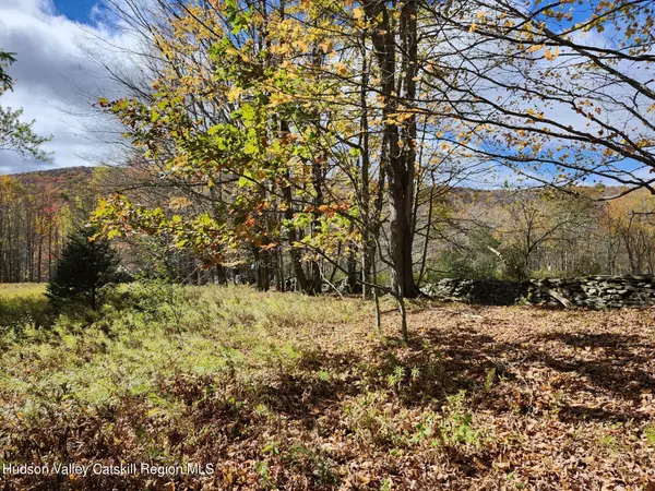 Fleischmanns, NY 12430,Tbd Dimmick Mountain RD