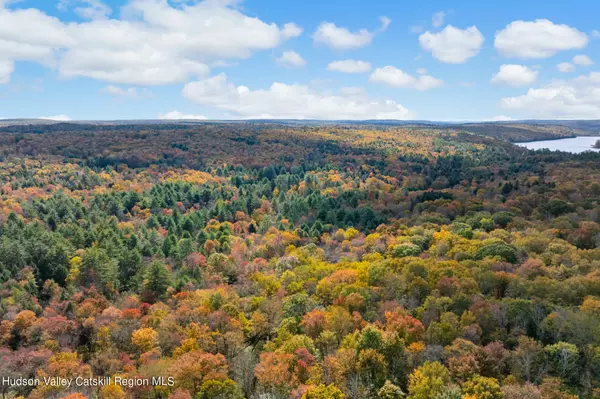 Monticello, NY 12701,378 Gregory Rd