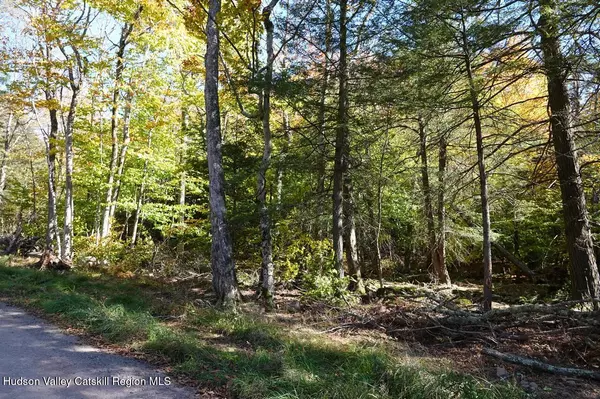 Elka Park, NY 12427,27 Repucci Forest RD