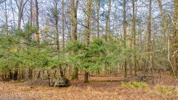 Stone Ridge, NY 12484,Tbd Cherry Hill Lot #2 RD